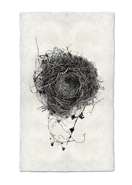 Nests