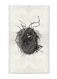 Nests
