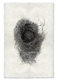Nests