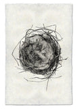Nests