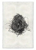 Nests