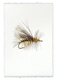 Fishing Flies