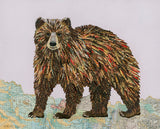Bears