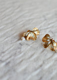 Coralina Earrings