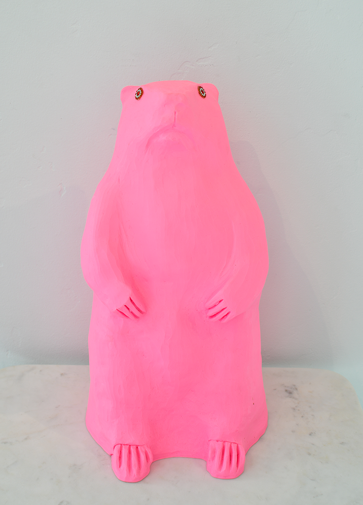 Marmot: Pink