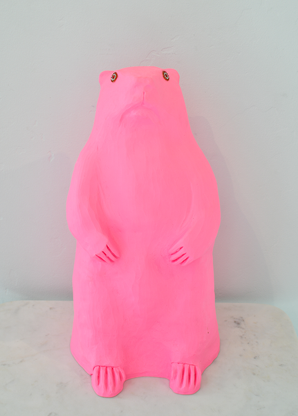 Marmot: Pink