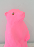 Marmot: Pink