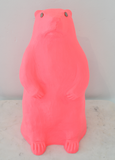 Marmot: Bright Coral