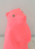 Marmot: Bright Coral