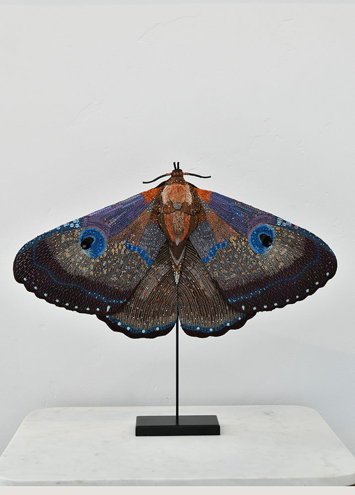 Giant Silk Moth Object Art