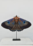 Giant Silk Moth Object Art