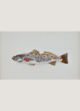 Spotted Sea Trout Beaded Art