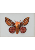 Small Silk Moth Beaded Art
