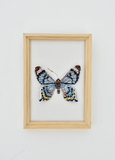 Fluted Swallowtail Beaded Art