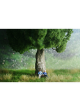 Evergreen: 2gether 4ever