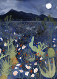 "Mojave Night"