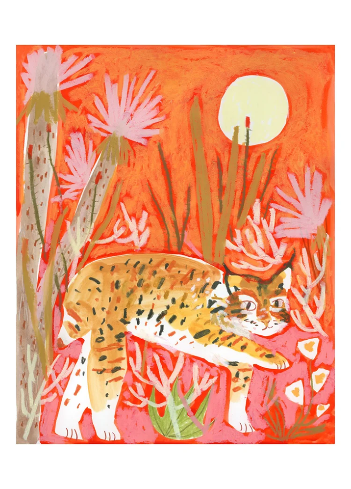 "Little Bobcat"