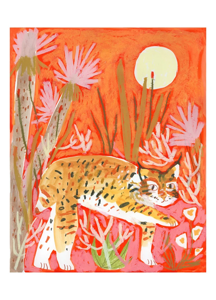 "Little Bobcat"