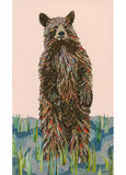 Bears