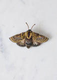 Beaded Moth Brooch