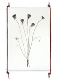 Leather Hanging System for Prints