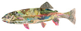 Rainbow Trout
