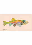Rainbow Trout