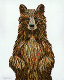 Bears